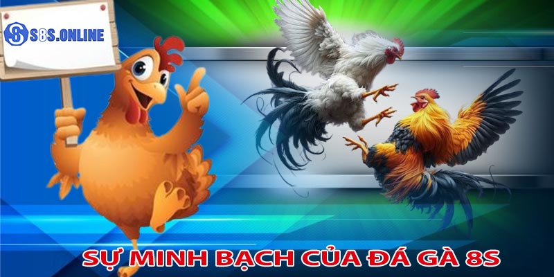 An toàn và minh bạch trong cá cược đá gà 8S