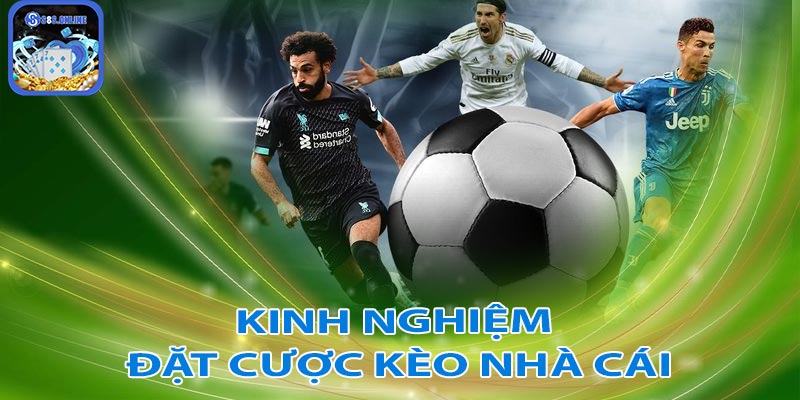 Kinh nghiệm đặt cược kèo nhà cái - Học hỏi từ những người đi trước